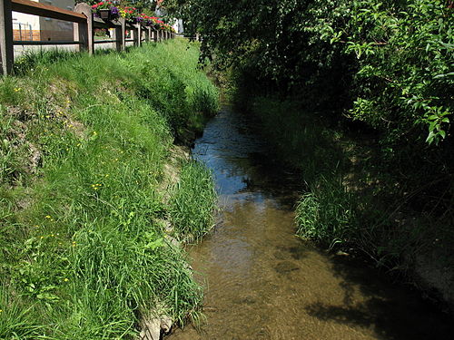 Saubach (Dürnach)